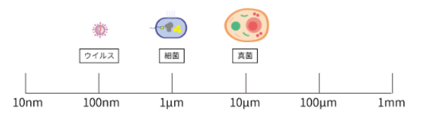 ウイルス・細菌の大きさイメージ